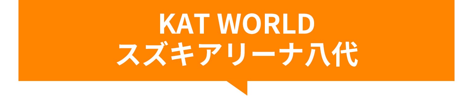 スズキアリーナ八代